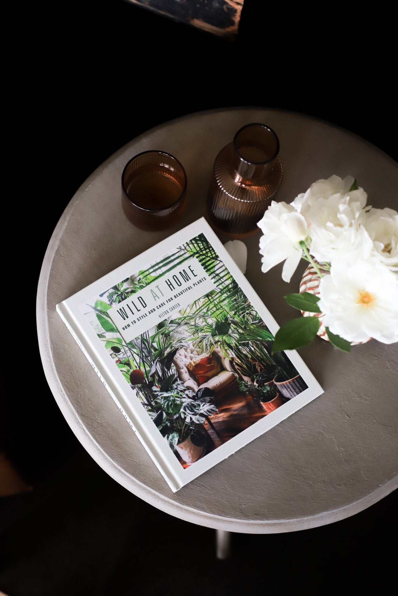 Wild at Home by Hilton Carter