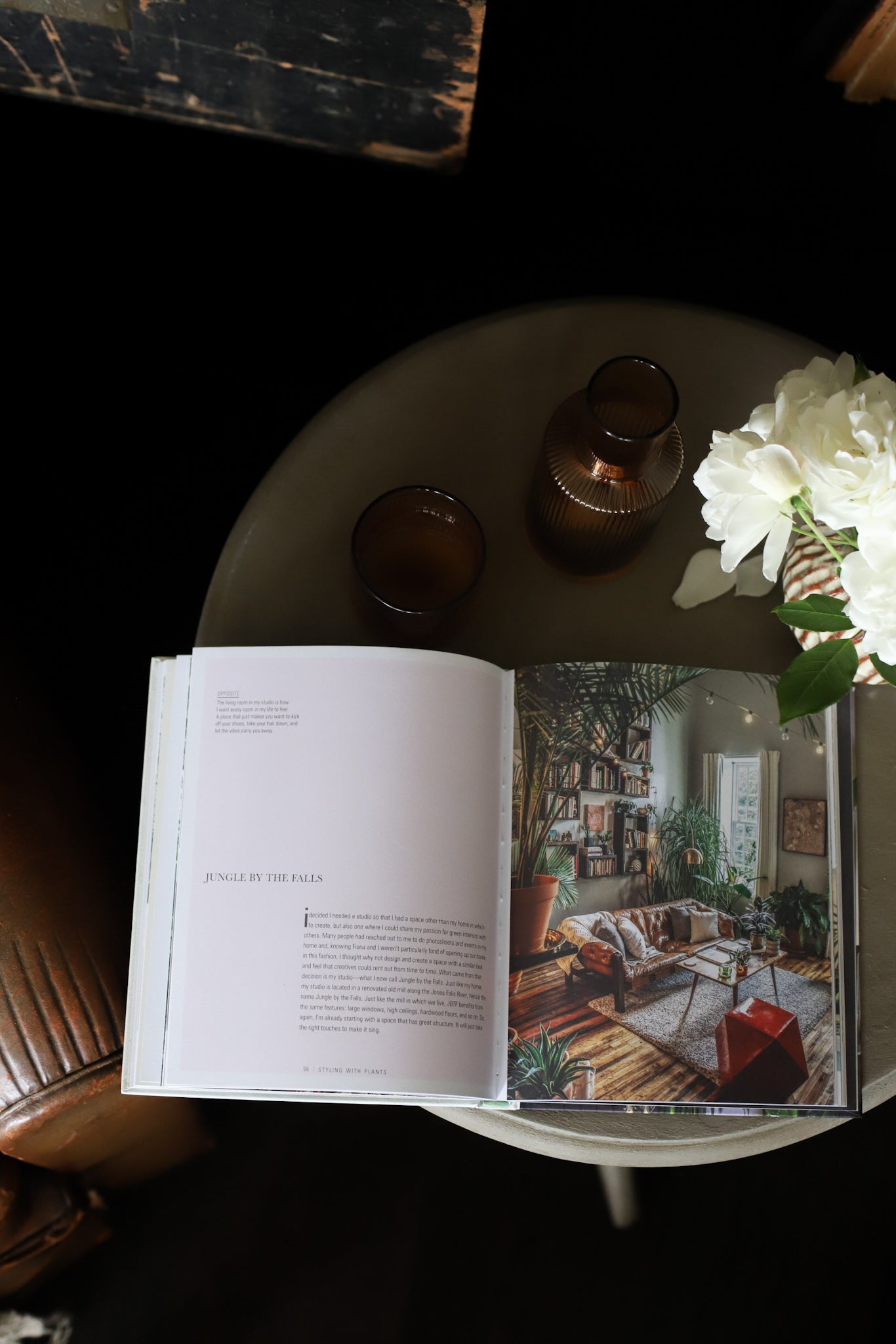Wild at Home by Hilton Carter