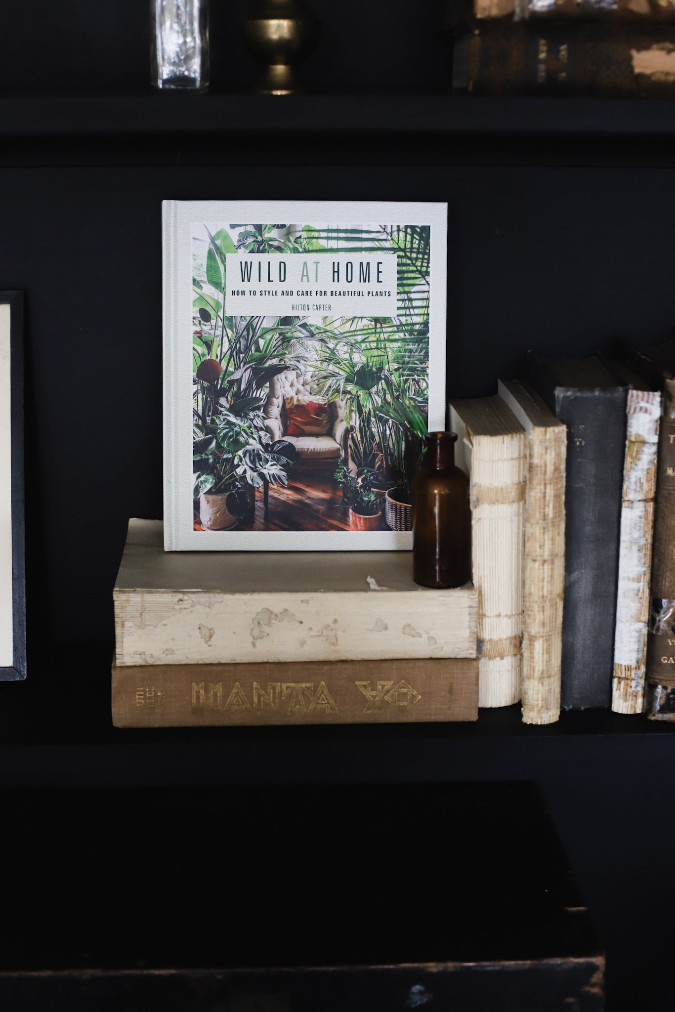 Wild at Home by Hilton Carter