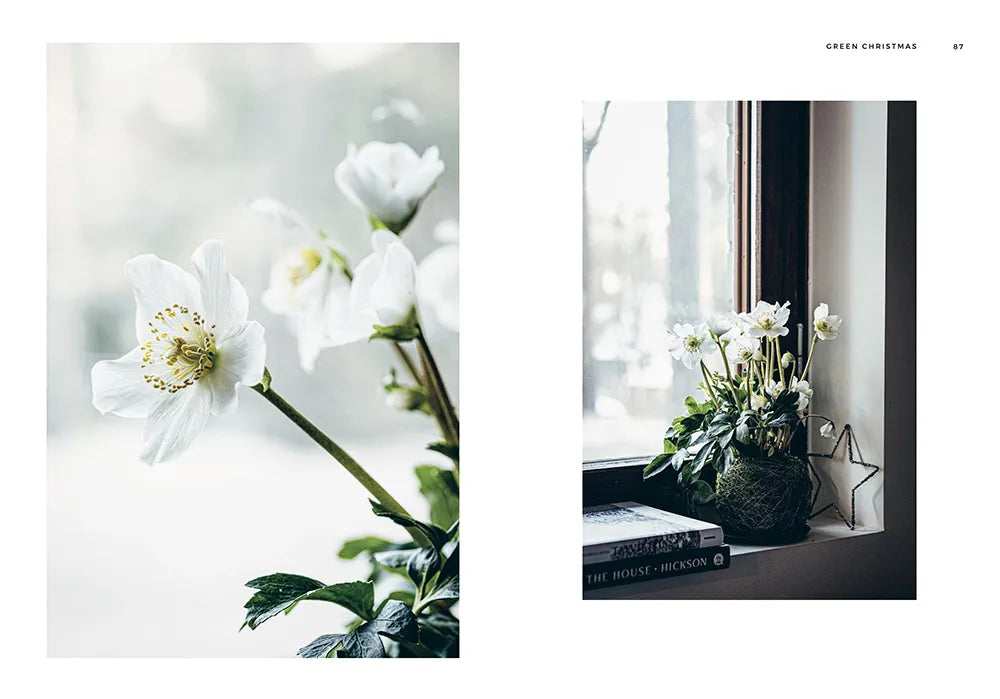 GREEN CHRISTMAS Book