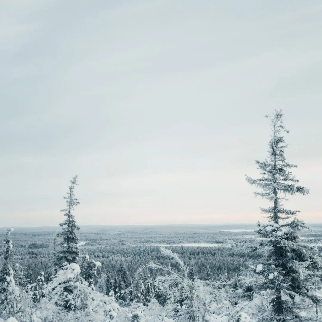 I Made This For You Book